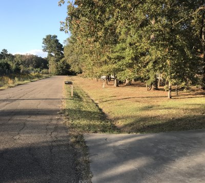 Street view with yard cleaned up