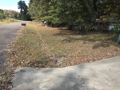 Street view with yard full of leaves