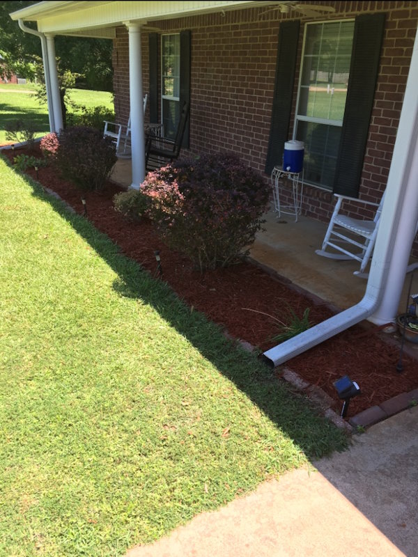 Flower Bed 6