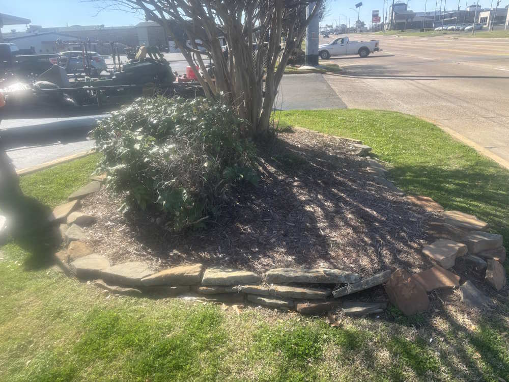 Beautiful Multi plant setting