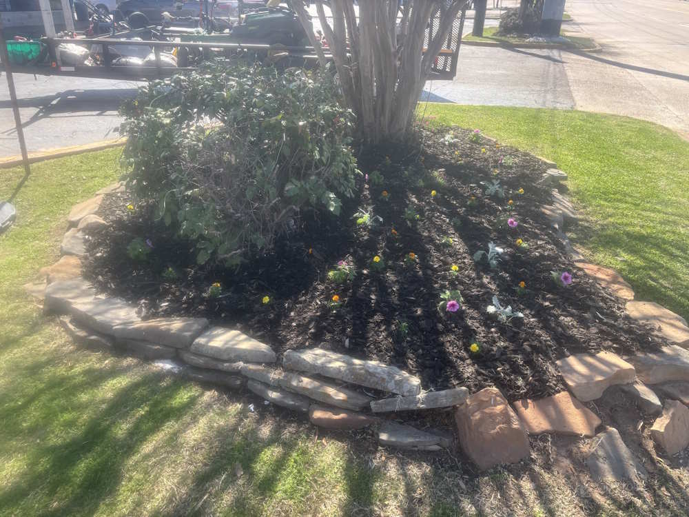 Beautiful Multi plant setting