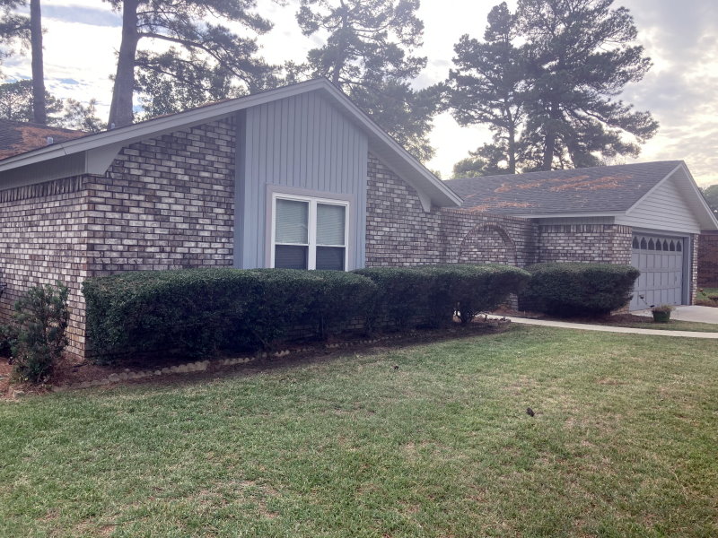 Hedges after they are trimmed and shaped