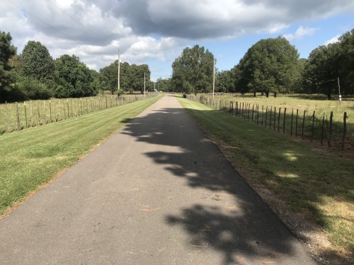 Mowing fence line to roadway by HIS Way Services