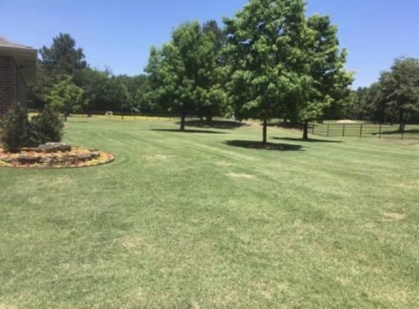 Lawnmowing side yard - HIS Way Services, Texarkana