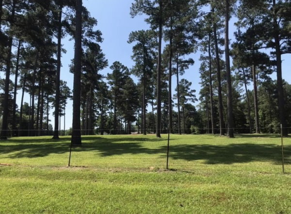 Lawnmowing fence area in yard - HIS Way Services, Texarkana