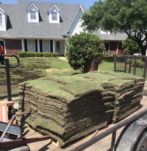 Sodding a portion of front yard