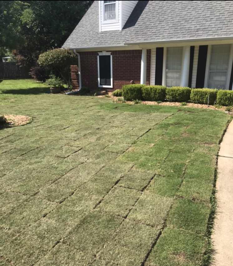 Finished Sodding a portion of front yard by HIS Way Services, Texarkana