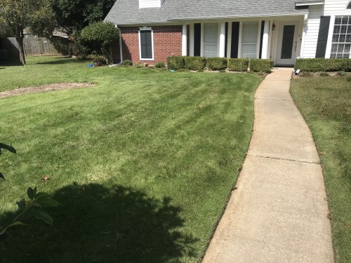 Sod merged into rest of front yard and ready for normal maintenance by HIS Way Services, Texarkana